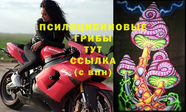 2c-b Алзамай